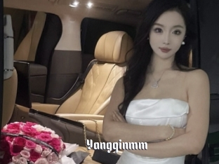 Yangqinmm