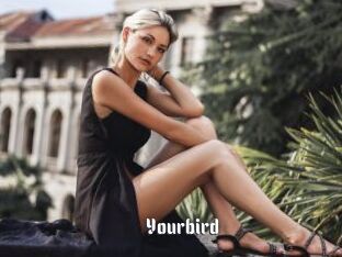 Yourbird