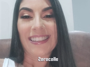 Zaracalle